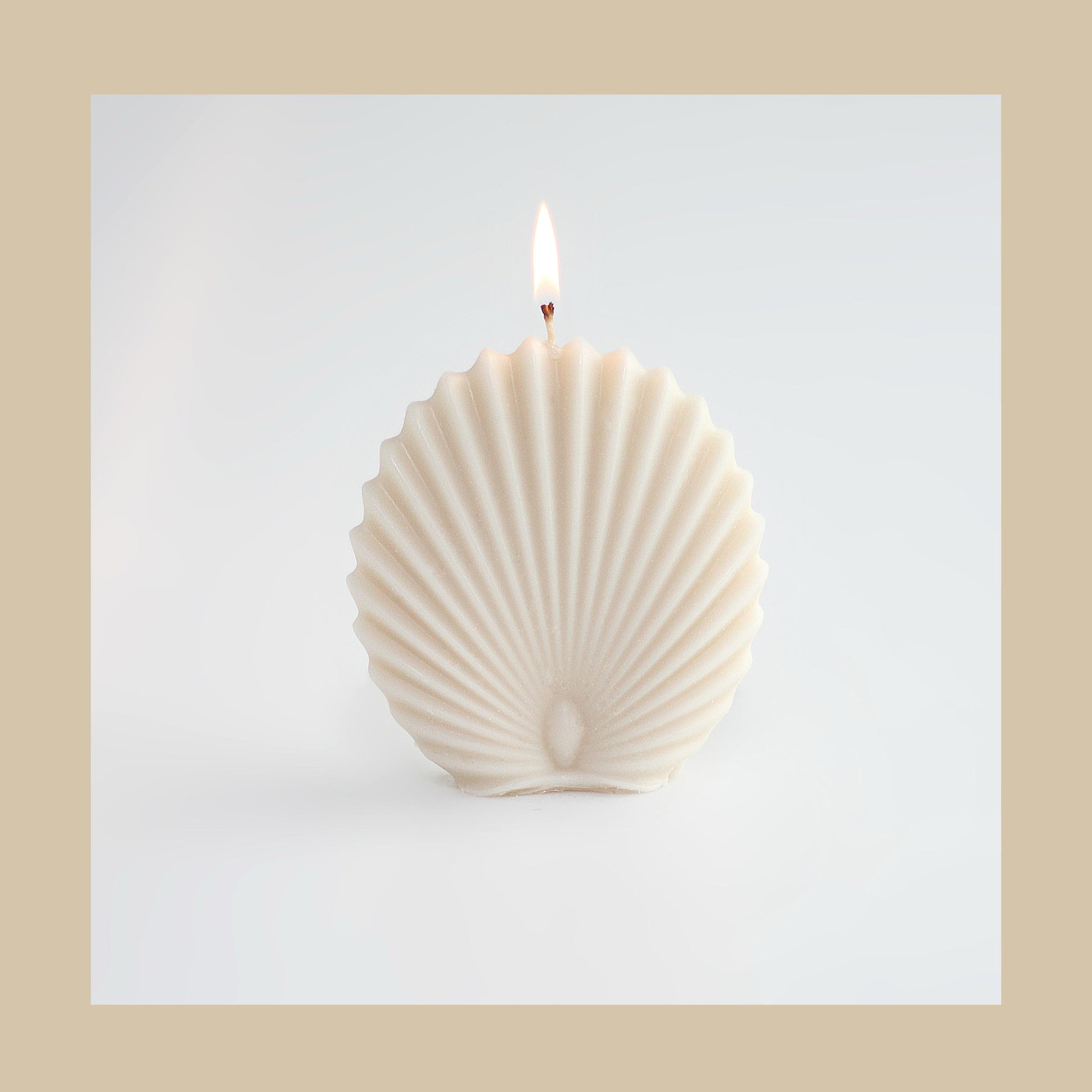 Kandelberg „Shell“ – Duftkerze in Muschelform